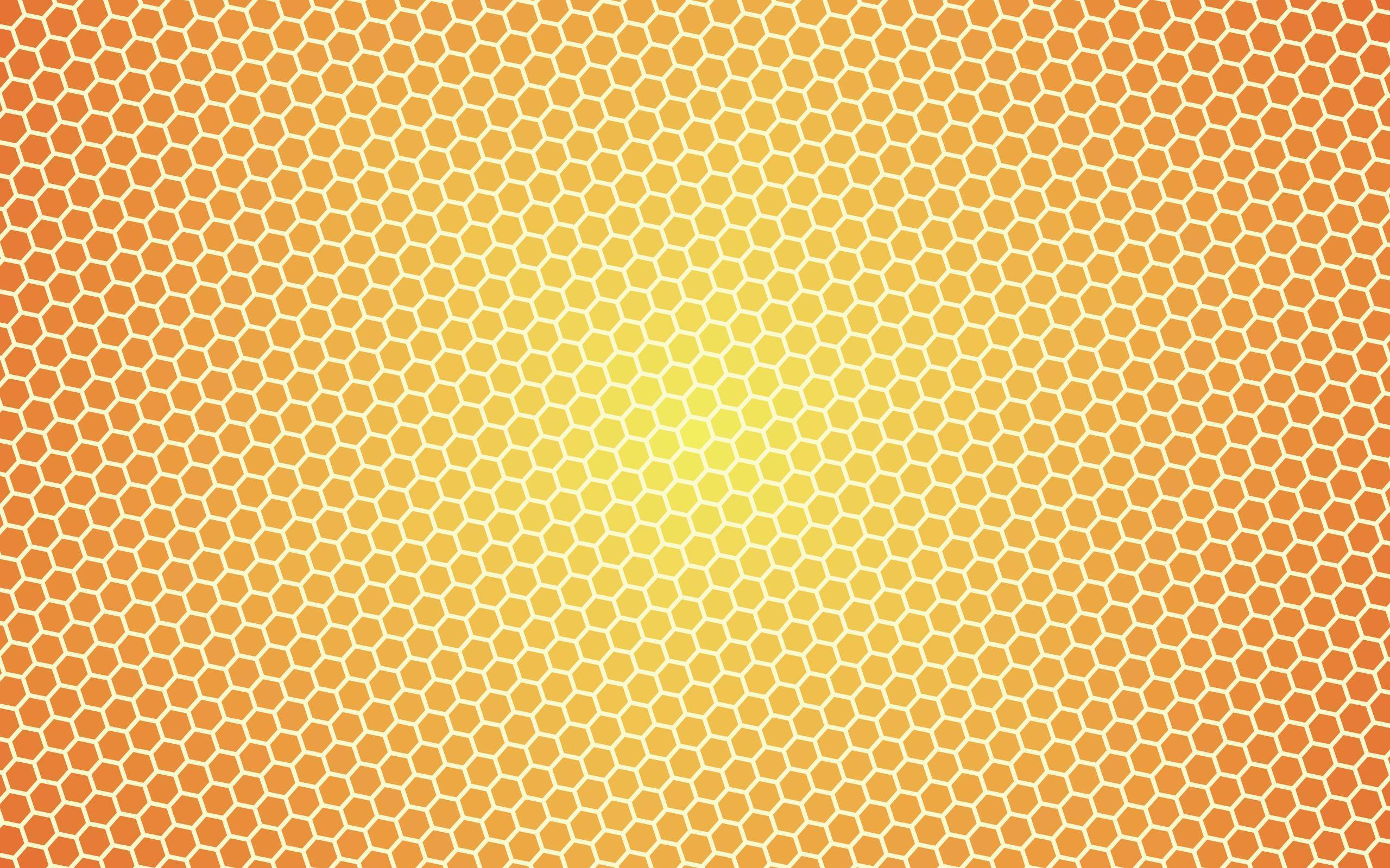 1920 x 1080 HD Wallpapers 2344